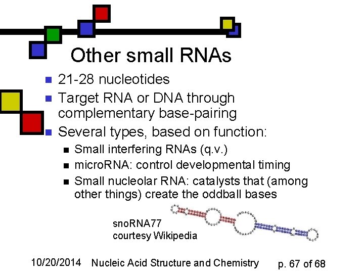 Other small RNAs n n n 21 -28 nucleotides Target RNA or DNA through