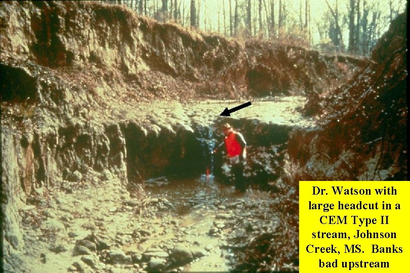 Dr. Watson with large headcut in a CEM Type II stream, Johnson Creek, MS. Dr. Watson with large headcut in a CEM Type II stream, Johnson Creek, MS.