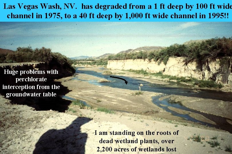 Las Vegas Wash, NV. has degraded from a 1 ft deep by 100 ft Las Vegas Wash, NV. has degraded from a 1 ft deep by 100 ft