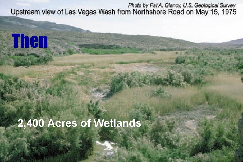 Then 2, 400 Acres of Wetlands Then 2, 400 Acres of Wetlands