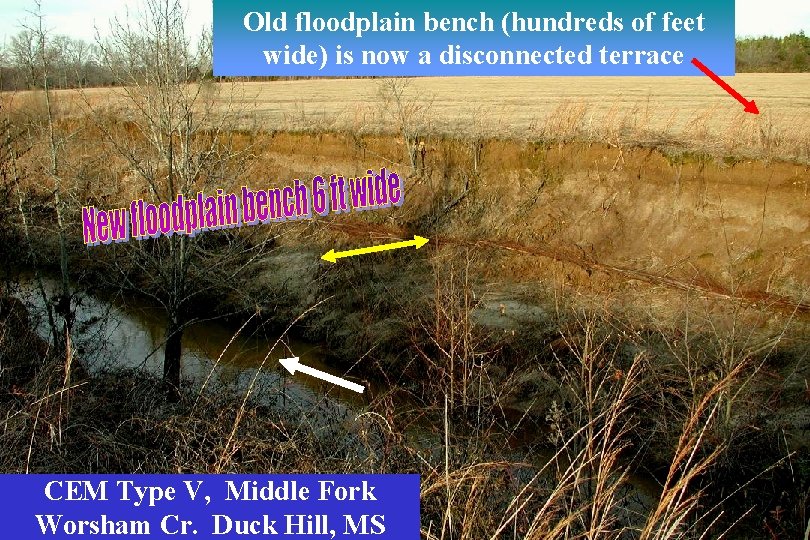 Old floodplain bench (hundreds of feet wide) is now a disconnected terrace CEM Type Old floodplain bench (hundreds of feet wide) is now a disconnected terrace CEM Type