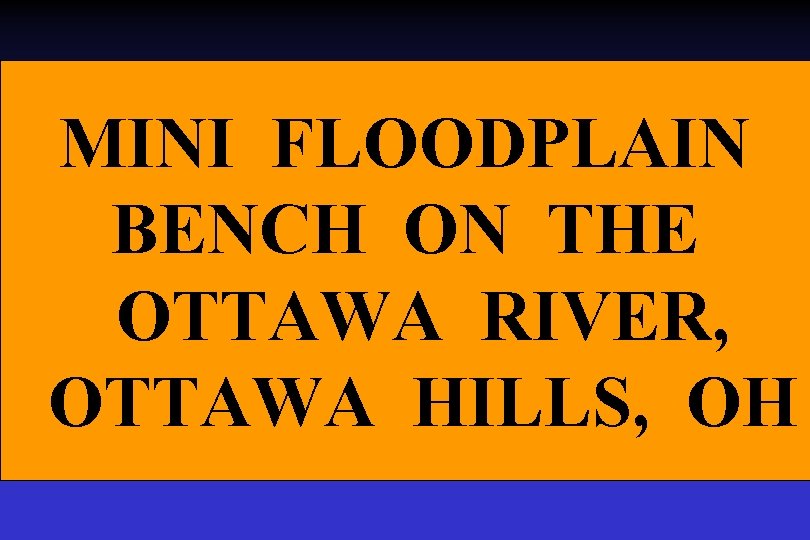 MINI FLOODPLAIN BENCH ON THE OTTAWA RIVER, OTTAWA HILLS, OH MINI FLOODPLAIN BENCH ON THE OTTAWA RIVER, OTTAWA HILLS, OH
