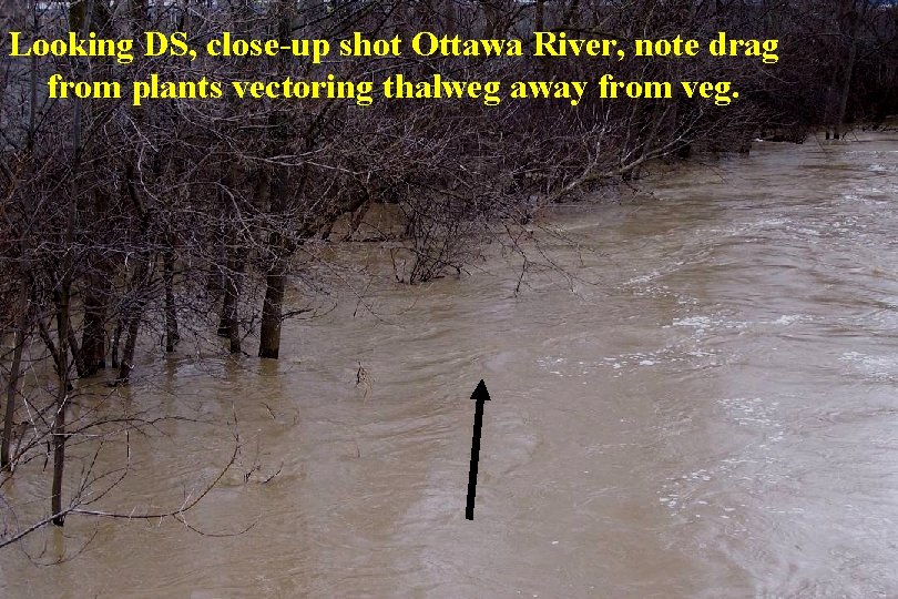 Looking DS, close-up shot Ottawa River, note drag from plants vectoring thalweg away from Looking DS, close-up shot Ottawa River, note drag from plants vectoring thalweg away from