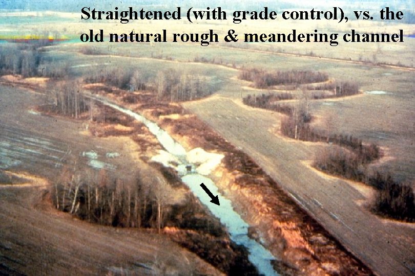 Straightened (with grade control), vs. the old natural rough & meandering channel Straightened (with grade control), vs. the old natural rough & meandering channel