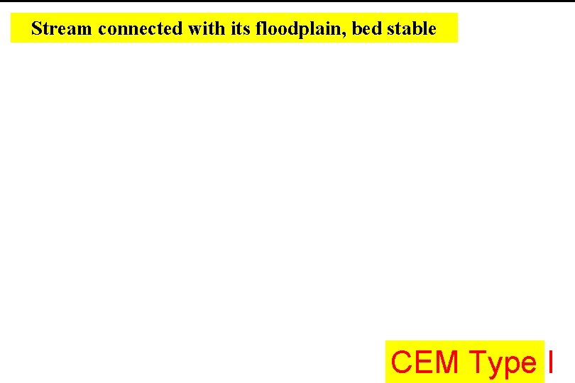 Stream connected with its floodplain, bed stable CEM Type I Stream connected with its floodplain, bed stable CEM Type I
