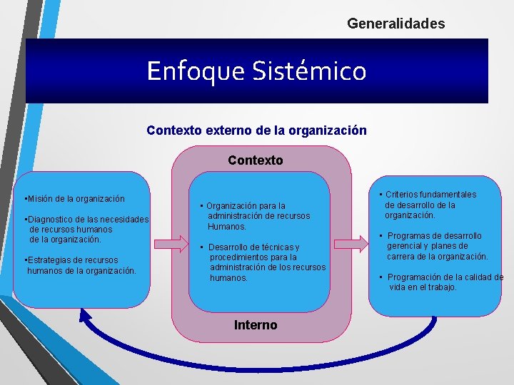 Generalidades Enfoque Sistémico Contexto externo de la organización Contexto • Misión de la organización