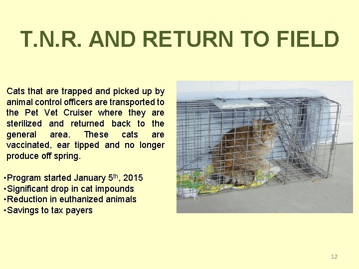 T. N. R. AND RETURN TO FIELD Cats that are trapped and picked up