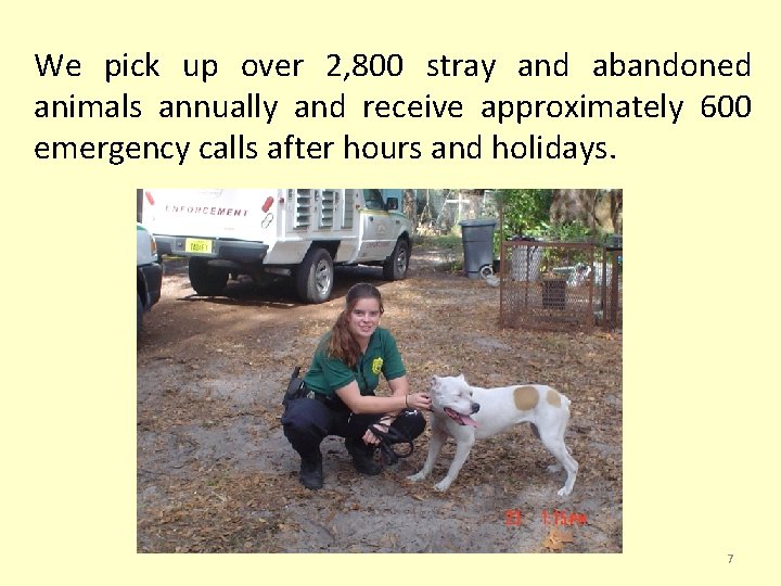 We pick up over 2, 800 stray and abandoned animals annually and receive approximately