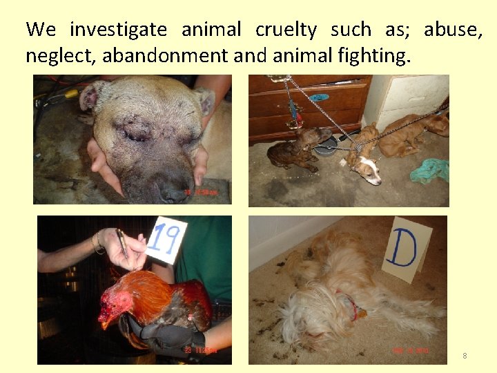 We investigate animal cruelty such as; abuse, neglect, abandonment and animal fighting. 8 