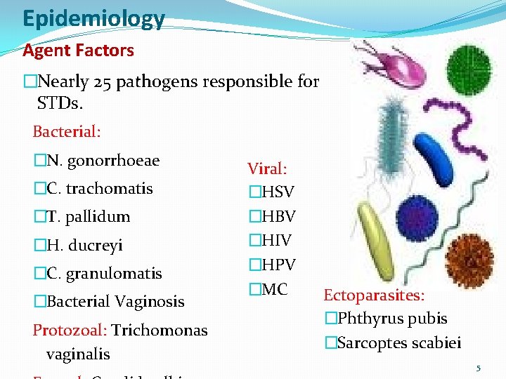 Epidemiology Agent Factors �Nearly 25 pathogens responsible for STDs. Bacterial: �N. gonorrhoeae �C. trachomatis