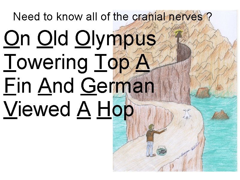 Need to know all of the cranial nerves ? On Old Olympus Towering Top