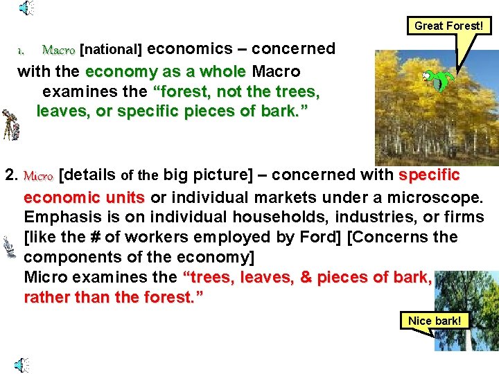 Great Forest! 1. Macro [national] economics – concerned with the economy as a whole