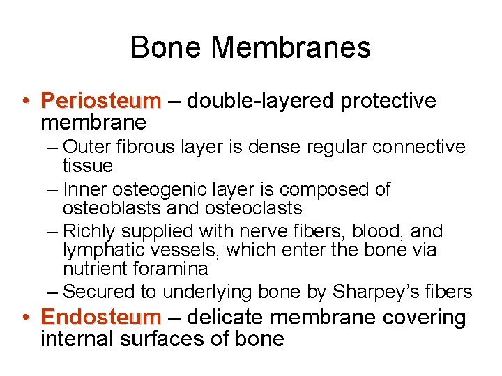 Bone Membranes • Periosteum – double-layered protective membrane – Outer fibrous layer is dense