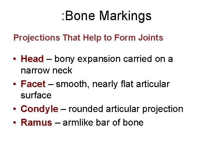 : Bone Markings Projections That Help to Form Joints • Head – bony expansion