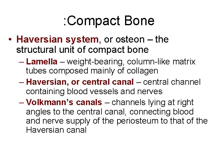 : Compact Bone • Haversian system, system or osteon – the structural unit of