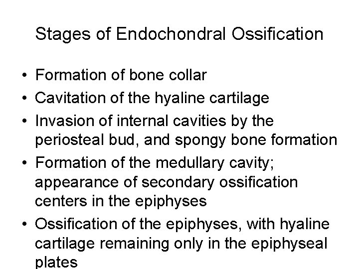 Stages of Endochondral Ossification • Formation of bone collar • Cavitation of the hyaline