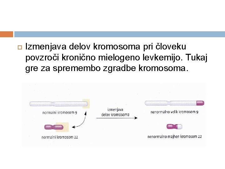  Izmenjava delov kromosoma pri človeku povzroči kronično mielogeno levkemijo. Tukaj gre za spremembo