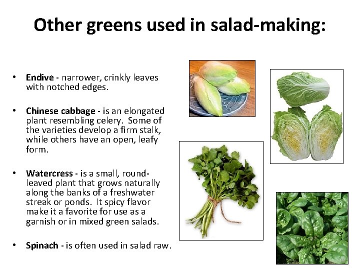 Other greens used in salad-making: • Endive - narrower, crinkly leaves with notched edges.