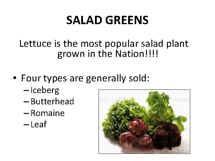 SALAD GREENS Lettuce is the most popular salad plant grown in the Nation!!!! •