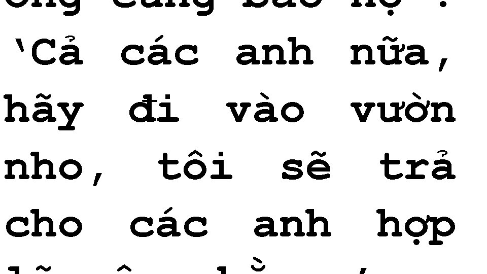 Ông cũng bảo ‘Cả các anh hãy đi vào nho, tôi sẽ cho các