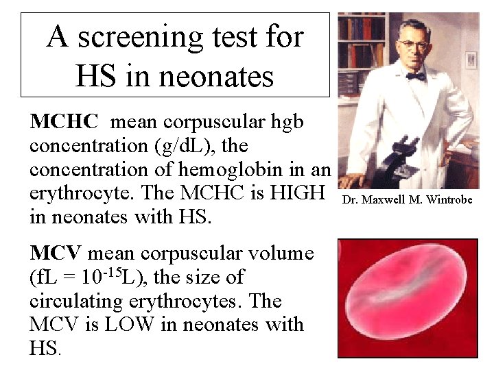 A screening test for HS in neonates MCHC mean corpuscular hgb concentration (g/d. L),