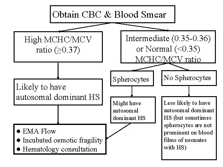 Obtain CBC & Blood Smear High MCHC/MCV ratio (≥ 0. 37) Likely to have