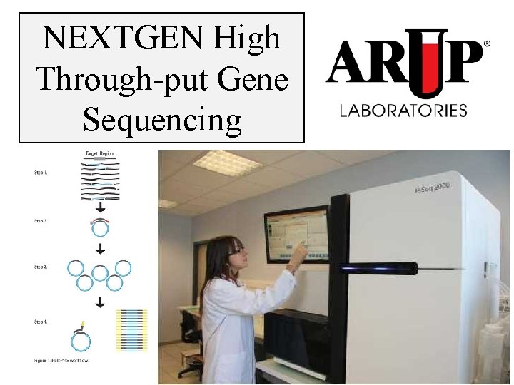 NEXTGEN High Through-put Gene Sequencing 