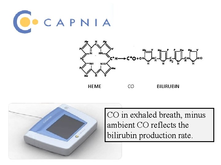 HEME CO BILIRUBIN CO in exhaled breath, minus ambient CO reflects the bilirubin production