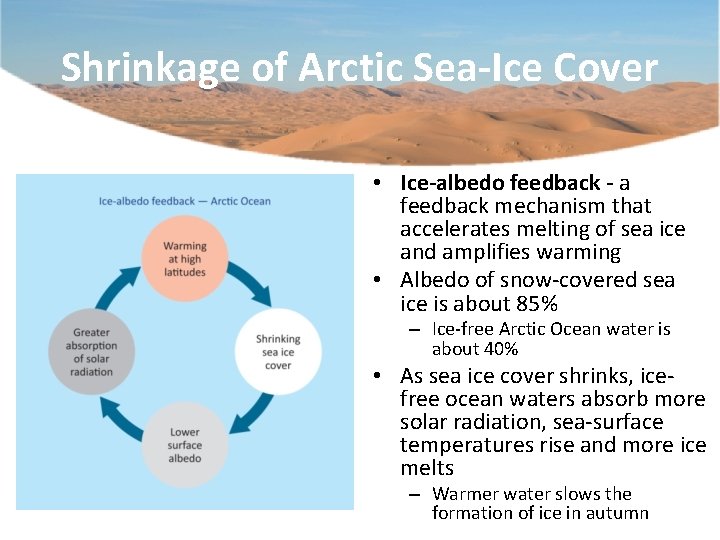 Shrinkage of Arctic Sea-Ice Cover • Ice-albedo feedback - a feedback mechanism that accelerates