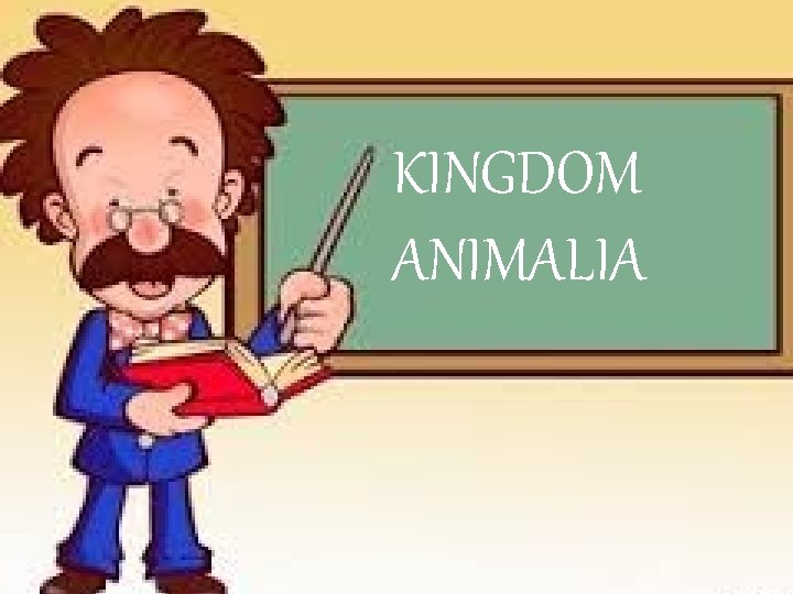 KINGDOM ANIMALIA 