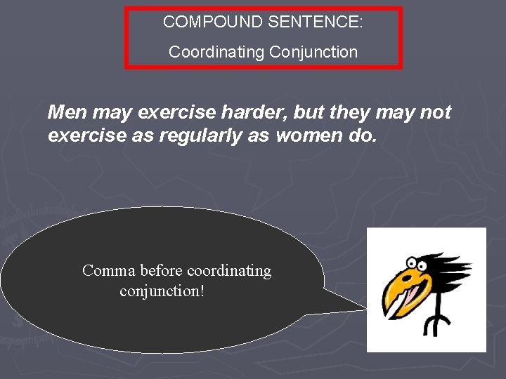 COMPOUND SENTENCE: Coordinating Conjunction Men may exercise harder, but they may not exercise as