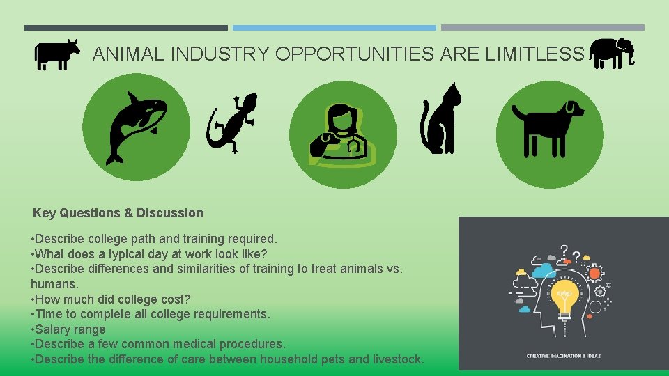 ANIMAL INDUSTRY OPPORTUNITIES ARE LIMITLESS Key Questions & Discussion • Describe college path and