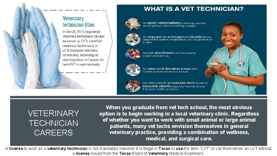 VETERINARY TECHNICIAN CAREERS When you graduate from vet tech school, the most obvious option