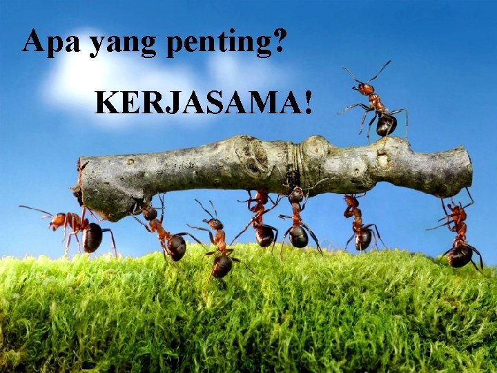 Apa yang penting? KERJASAMA! 