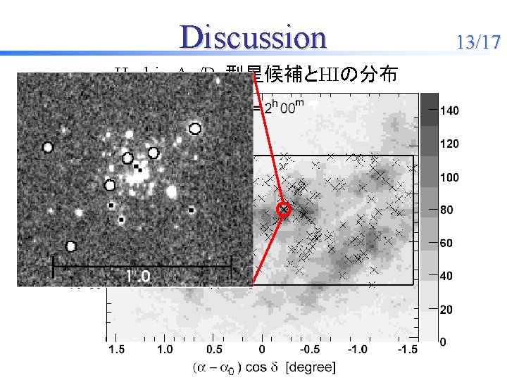 Discussion Herbig Ae/Be型星候補とHIの分布 13/17 