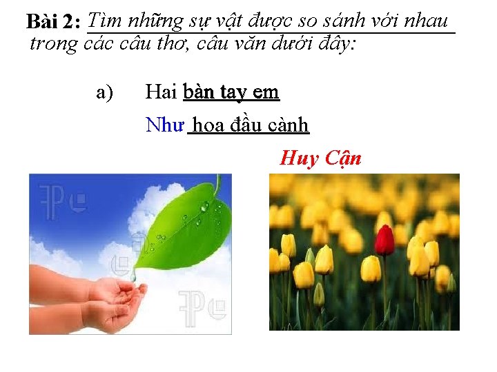 Bài 2: Tìm những sự vật được so sánh với nhau trong các câu