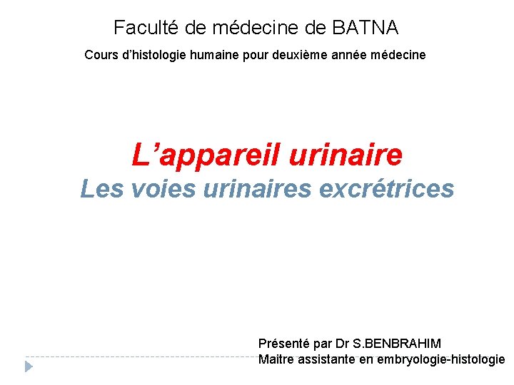 Faculté de médecine de BATNA Cours d’histologie humaine pour deuxième année médecine L’appareil urinaire