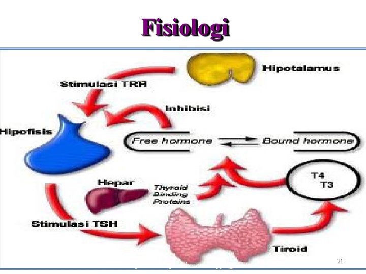 Fisiologi Sumber: http: //www. apcweb. com/copyright. html 21 