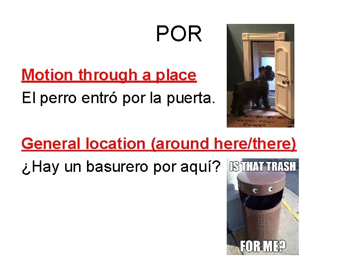 POR Motion through a place El perro entró por la puerta. General location (around