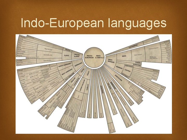 Indo-European languages 