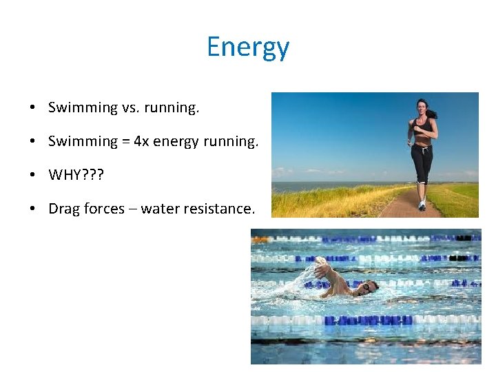 Energy • Swimming vs. running. • Swimming = 4 x energy running. • WHY?