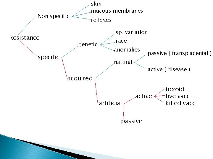 Non specific Resistance skin mucous membranes reflexes sp. variation genetic specific race anomalies natural