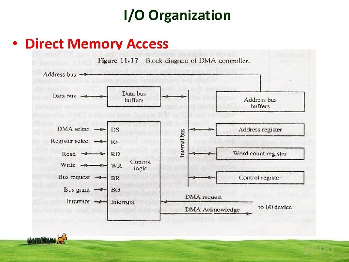 I/O Organization • Direct Memory Access popo 