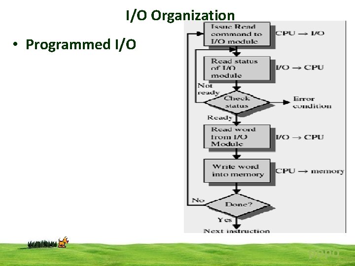 I/O Organization • Programmed I/O popo 