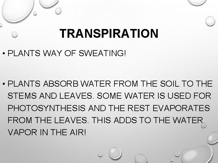 TRANSPIRATION • PLANTS WAY OF SWEATING! • PLANTS ABSORB WATER FROM THE SOIL TO