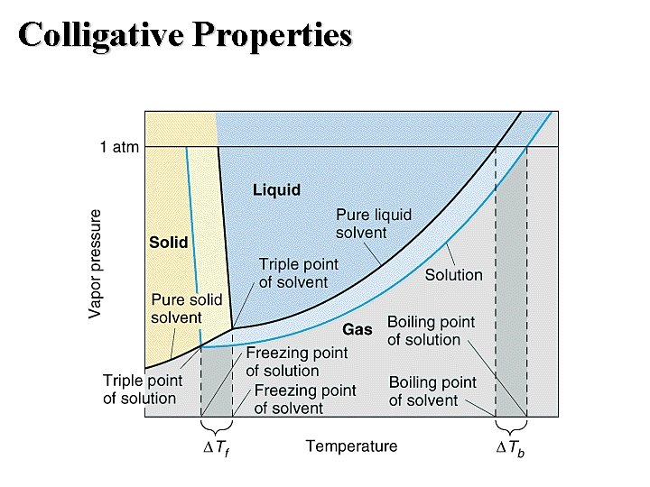 Colligative Properties 