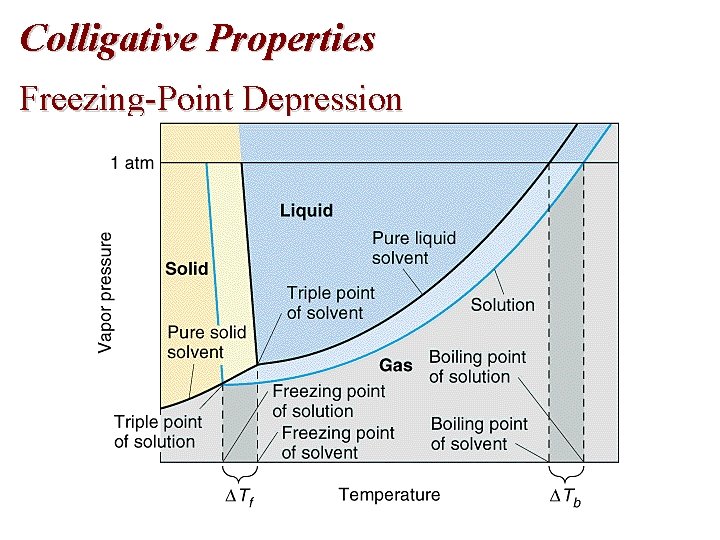 Colligative Properties Freezing-Point Depression 