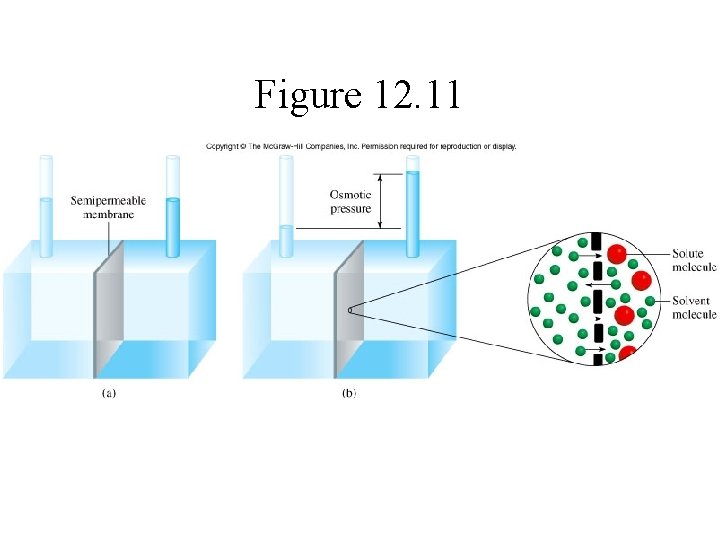 Figure 12. 11 