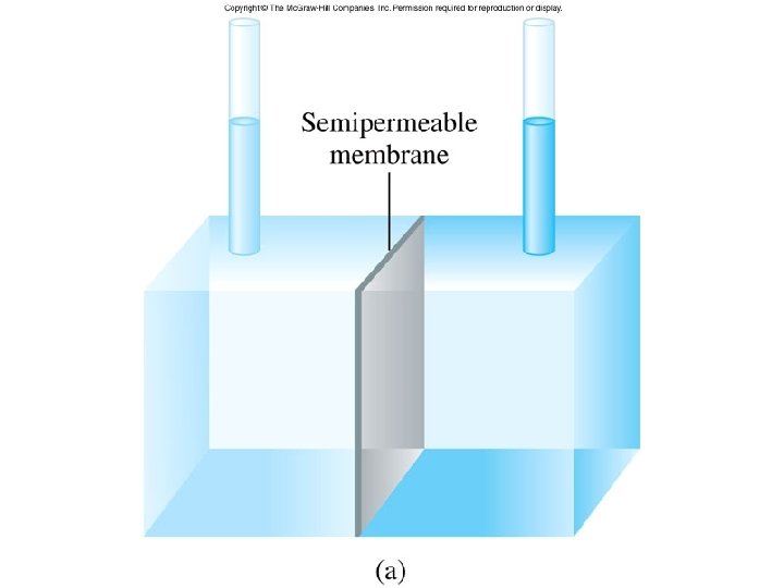 Figure 12. 11 a 