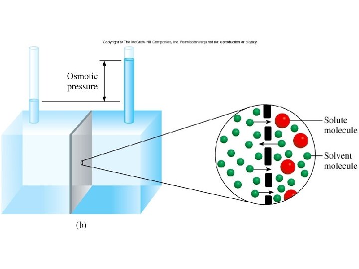 Figure 12. 11 b 